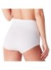 Figi Cotonella ADD08 Maxi Modal M-3XL
